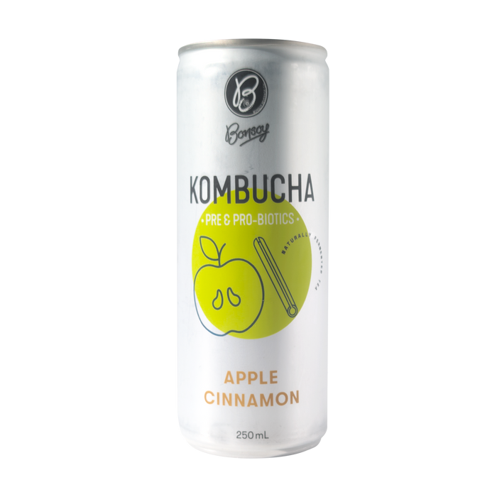 Bonsoy Kombucha - Apple Cinnamon 250ml