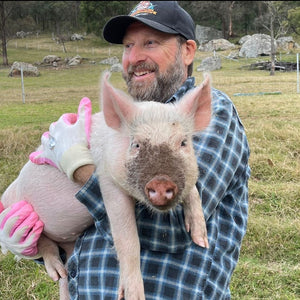 $100 Support for Where Pigs Fly Sanctuary
